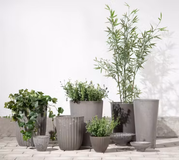 Skål Rose återanvänd plast Ø17x7 cm