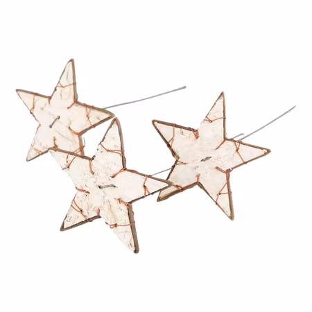 Stick Näver Stjärna Dubbelsidig 10cm