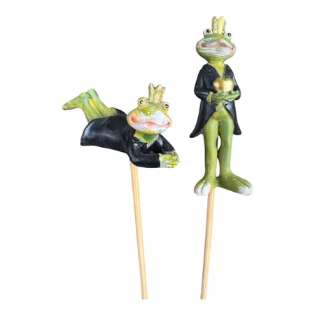 2 grodor med frack på blompinne