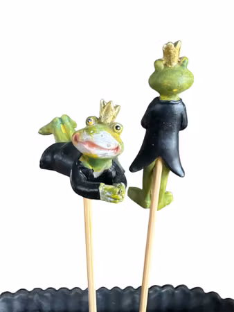 2 grodor med frack på blompinne