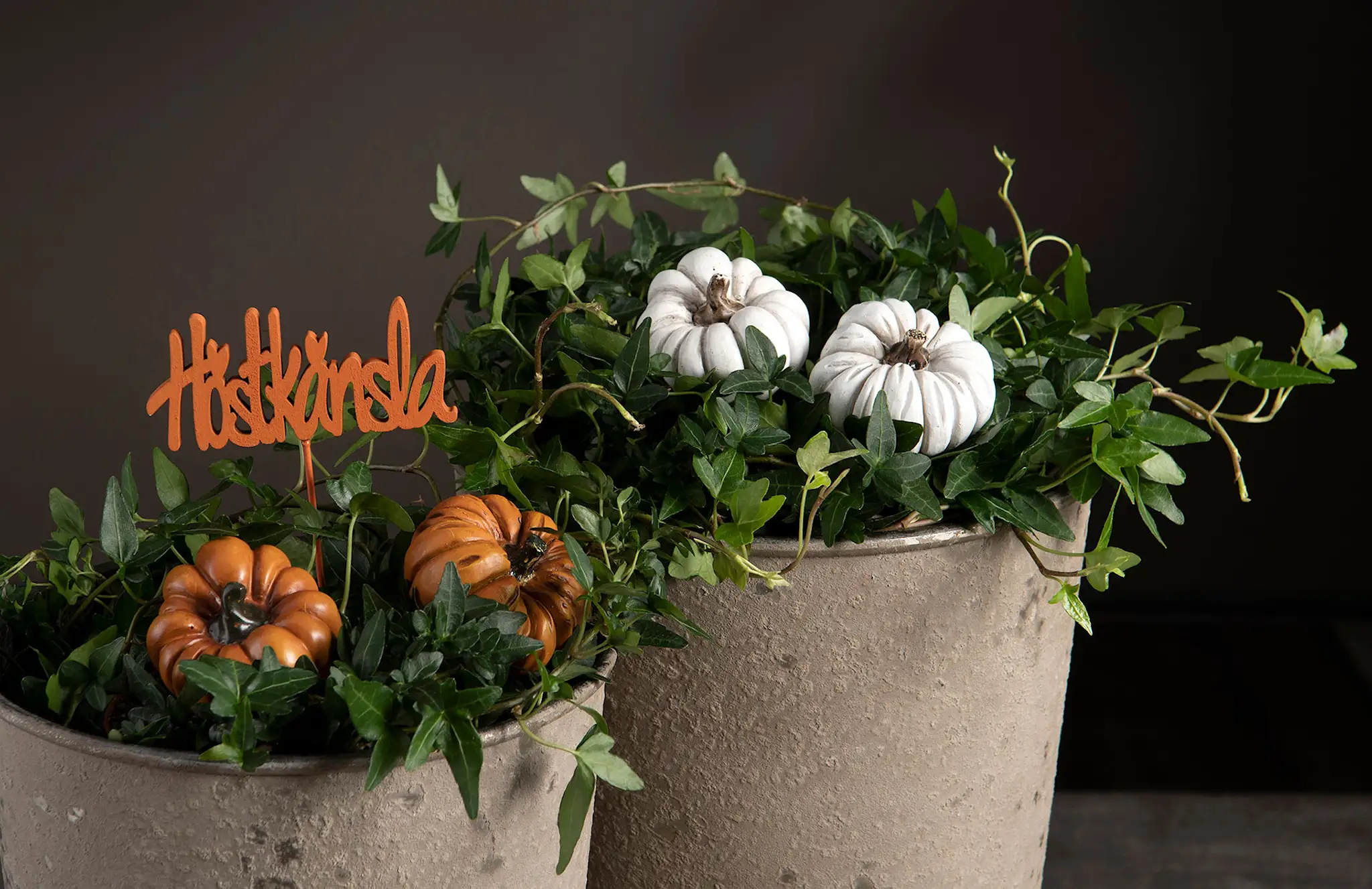 Stick Pumpa Orange 6cm