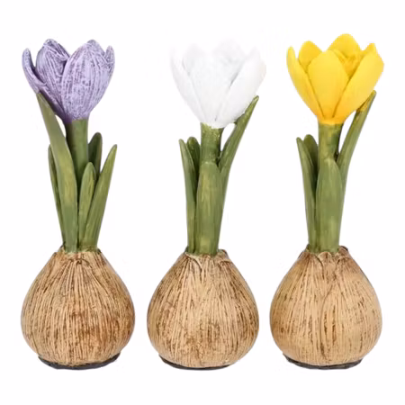 Krokusdröm – 3-pack, 14 cm