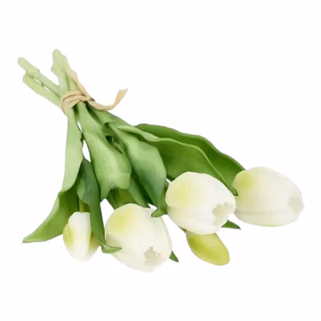 Pärlvita tulpaner – 5 st, 30 cm