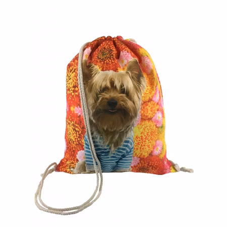 Röd/Gul Blommig Gympapåse med Hundmotiv