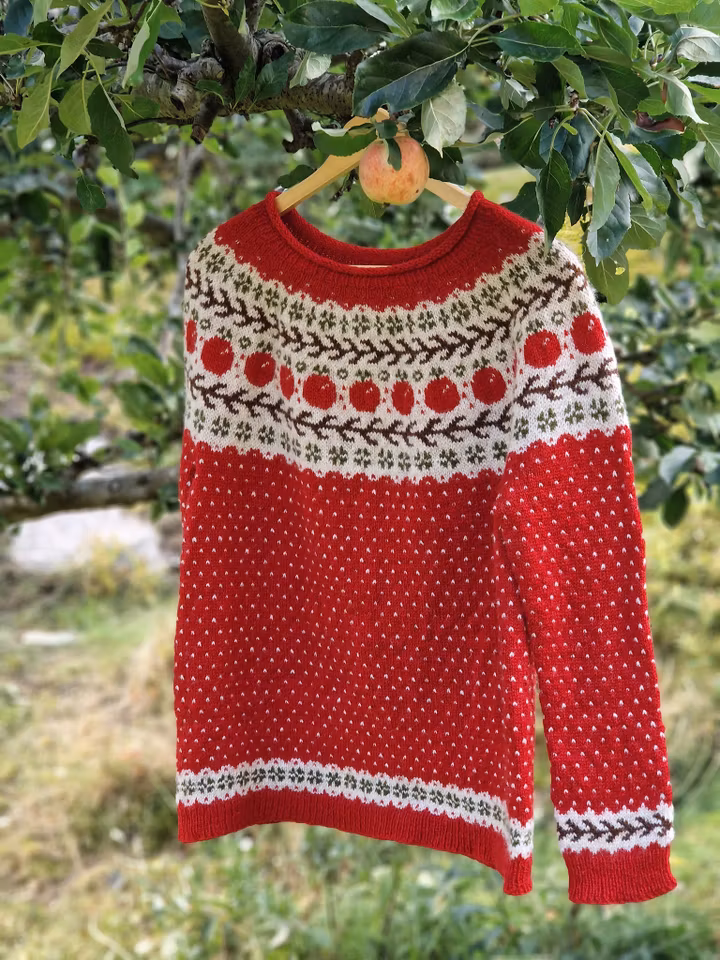 Ingrid Marie sweater