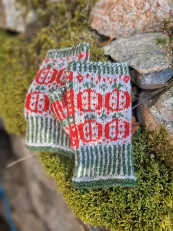 Vanten Äpple