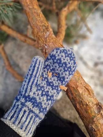 Vättern mitts