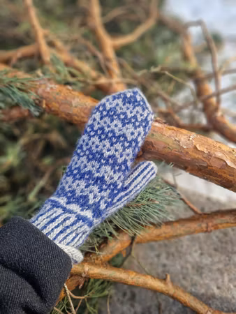 Vättern mitts