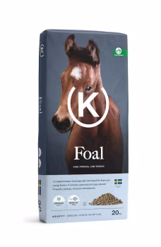 FOAL