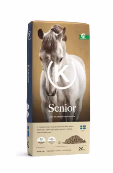 SENIOR