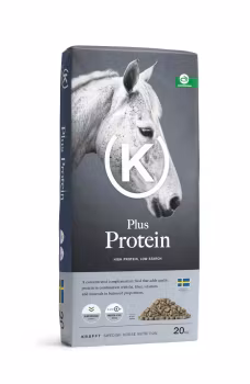 PLUS PROTEIN 20kg