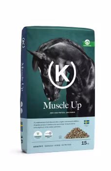 MUSCLE UP