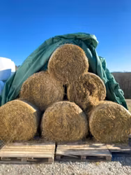 Havrehalm 80-100kg balar
