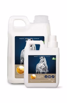 VITAMIN B FLYTANDE 1L