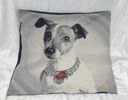 Kuddfodral Jack Russel