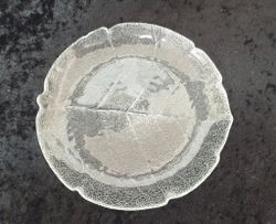 ASPEN  Assietter 6 st 19 cm