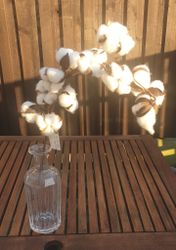 Äkta bomulls blommor på konst kvist