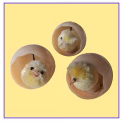 Retro kycklingar  3 st