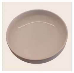 Kuriosa skål från SAS i melanin