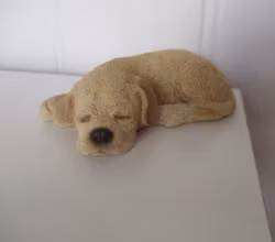 Liten prydnadshund från USA SAMLAR HUND