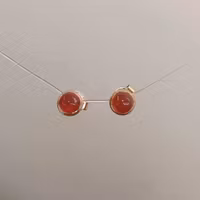 Guldörhänge/stift med carneol