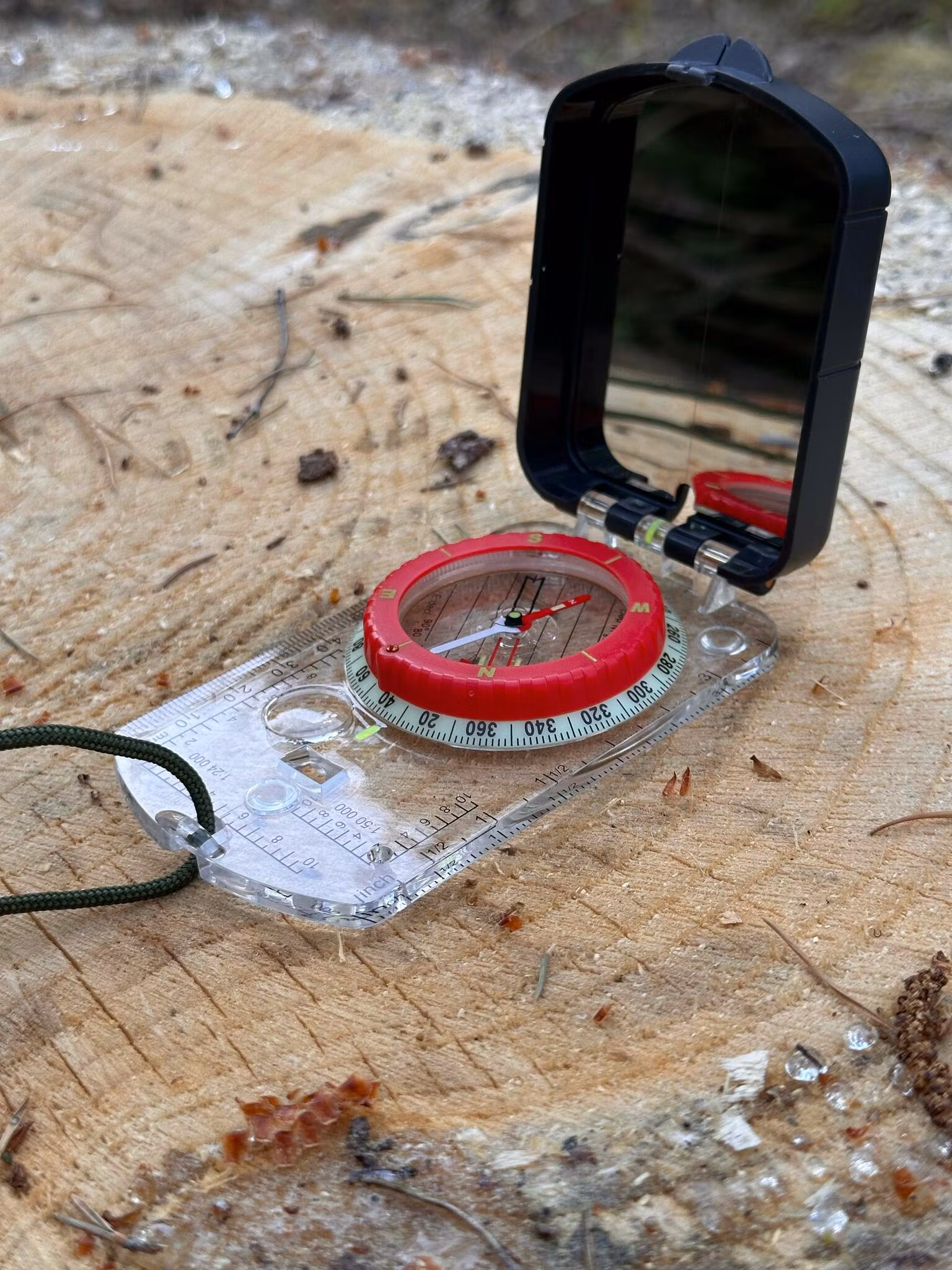 Kompass med spegel ute i skogen på en stock