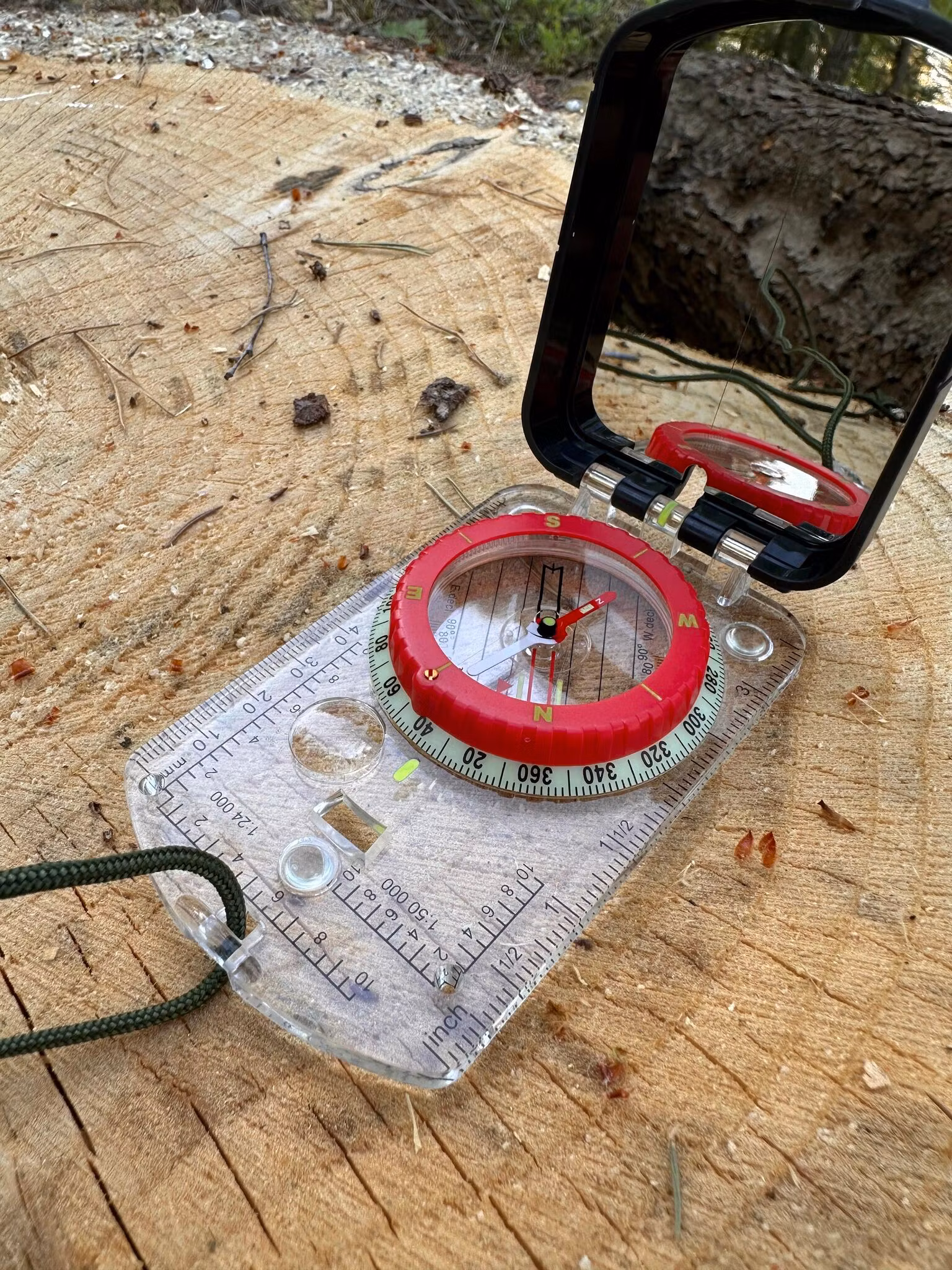 Kompass med spegel ute i skogen