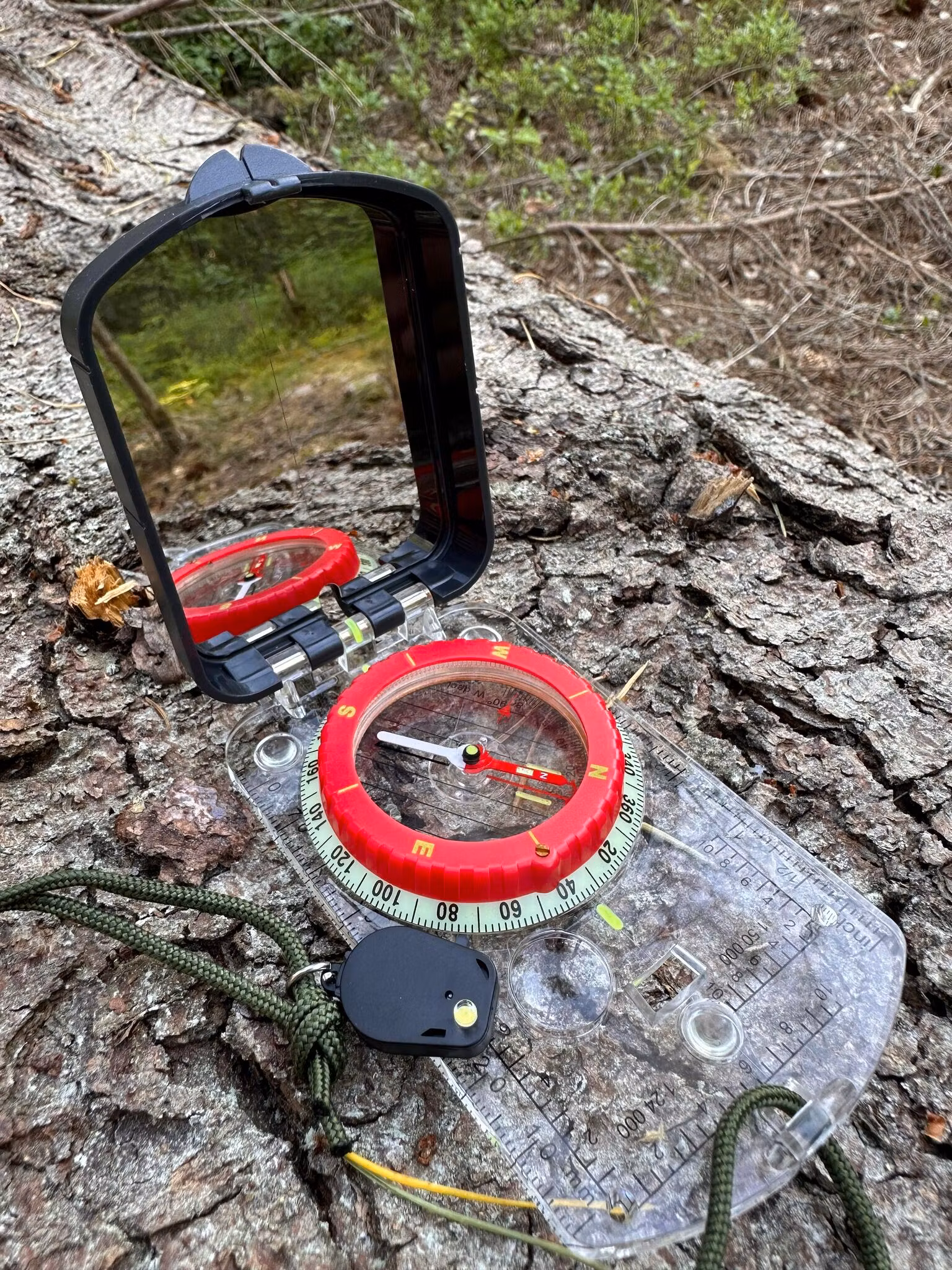 Kompass med ficklampa ute i skogen på en stock