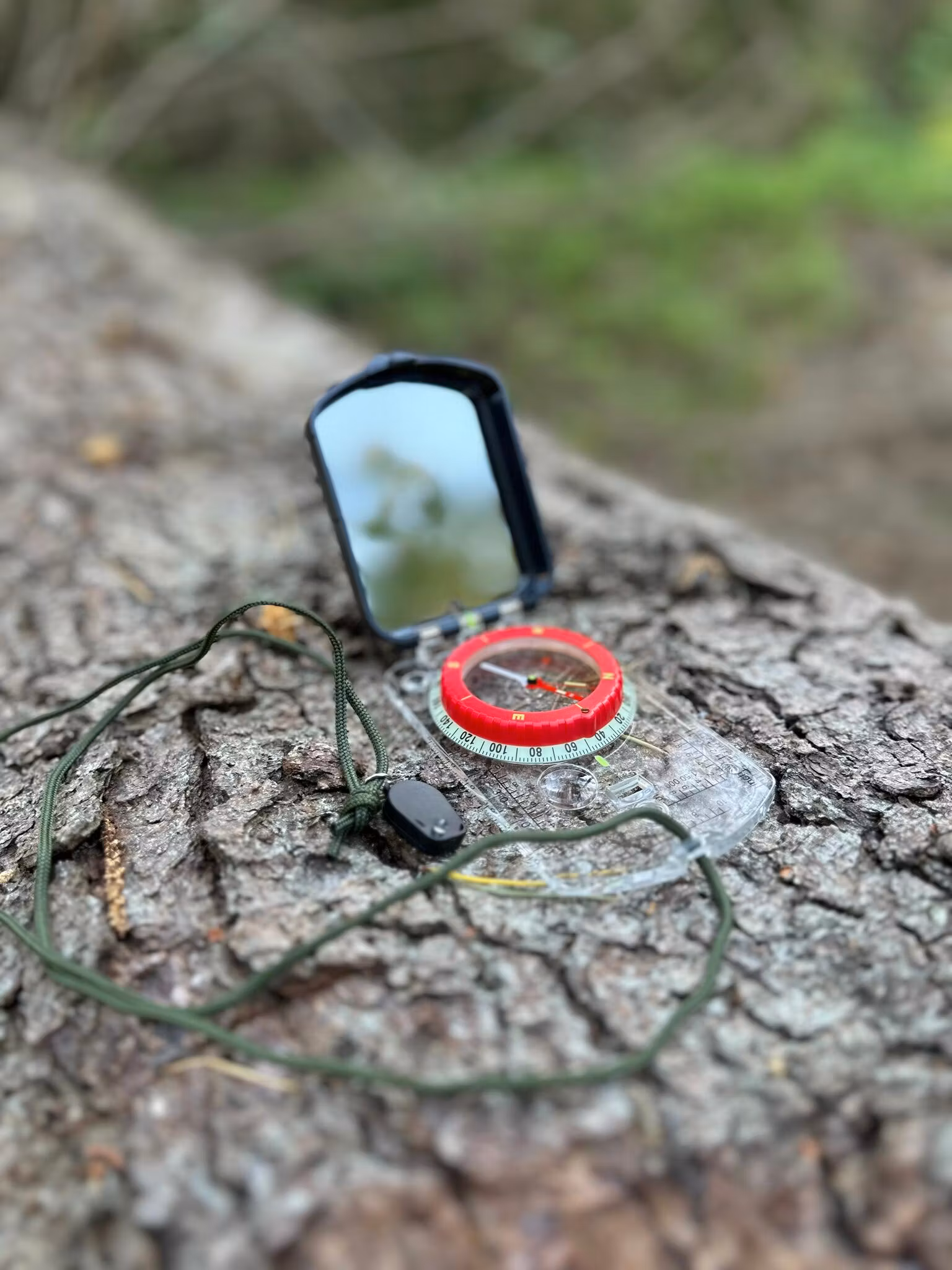 Kompass med spegel ute i skogen på en stock