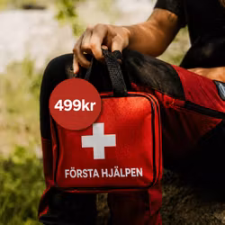 Första hjälpen kit (Premium)
