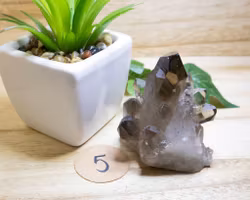 Rökkvarts kluster nr 5