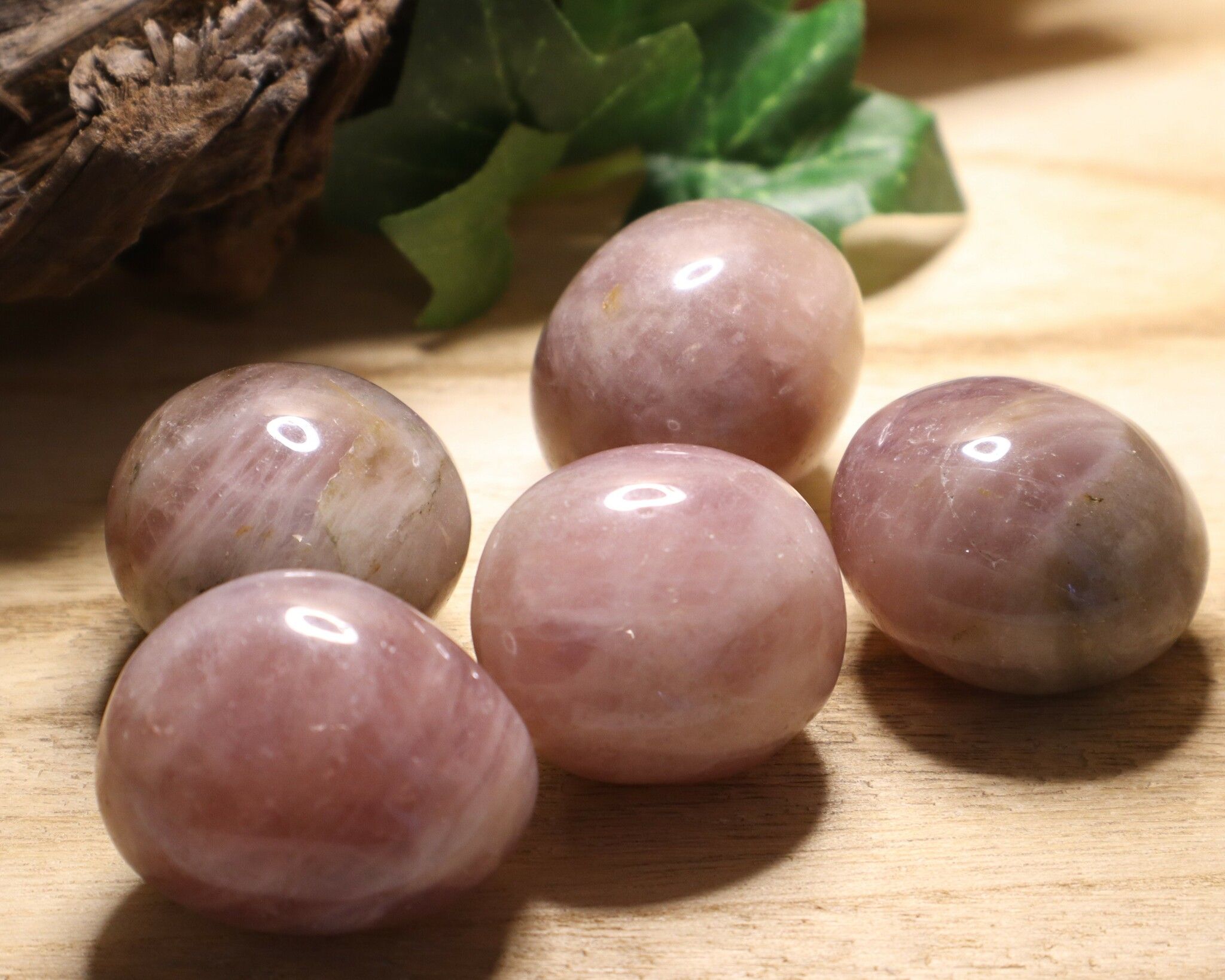 Rosa Ametist