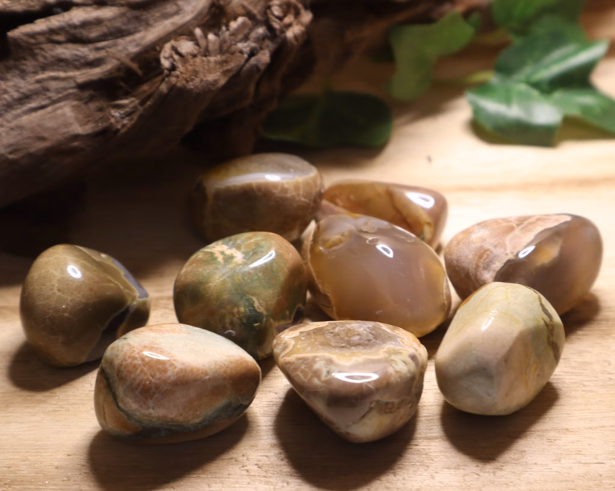 Thunderegg