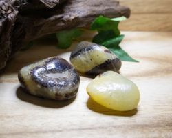 Septarian (Drakägg)