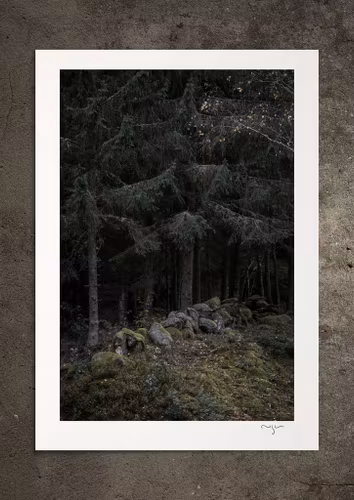Gräns, fotoprint