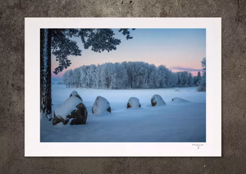 "Vindsval är vinterns fader", fotoprint