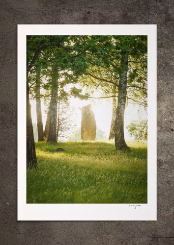 Gudagrönska, fotoprint