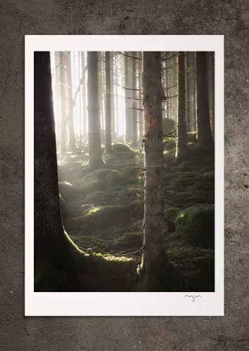 Irrljus, fotoprint