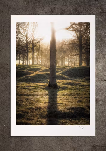 Irminsul, fotoprint