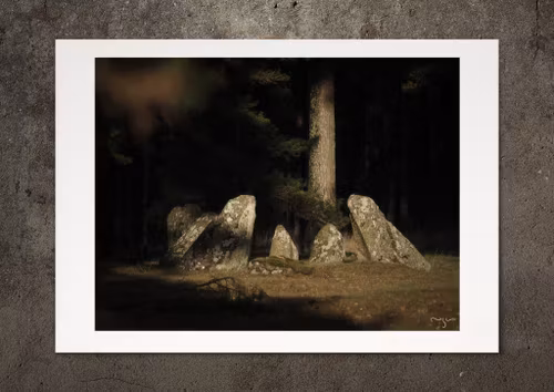 Ur skuggorna, fotoprint