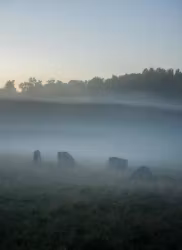 De beslöjade, limiterad Fine Art-print