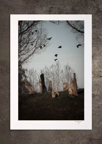 Frisjälar, fotoprint
