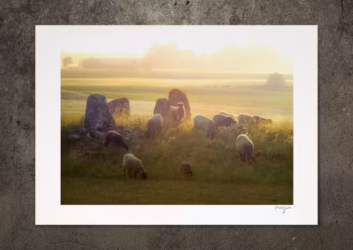 Den enes död ... , fotoprint