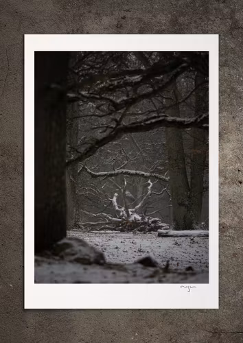 Vintern, den stora, fotoprint