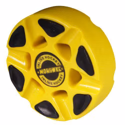 Street Hockey Puck