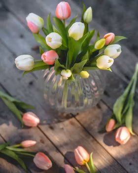 Konstväxt Tulpanbukett Vit