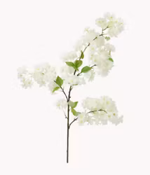 Konstväxt Körsbärsblom Vit