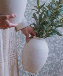 Konstväxt Olivkvist