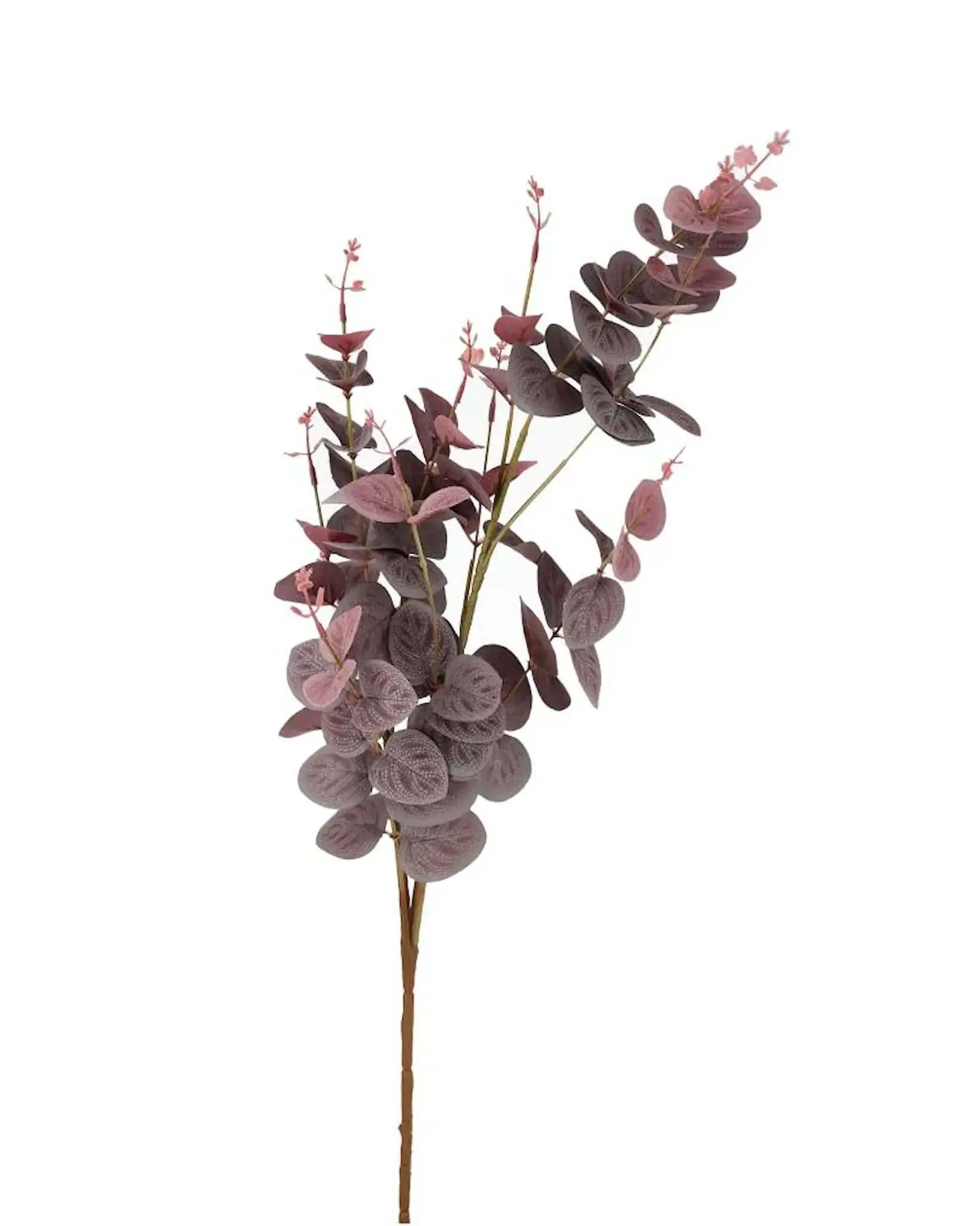 Konstväxt Eukalyptus Grålila