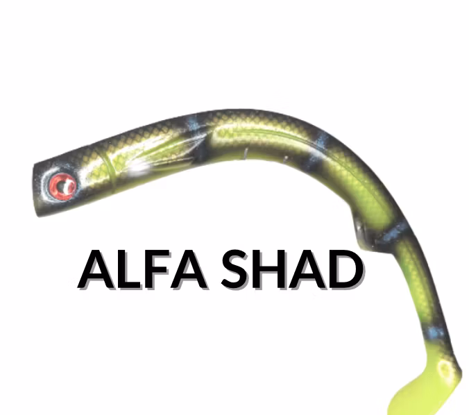 Alfa Shad - Maximum Outdoor